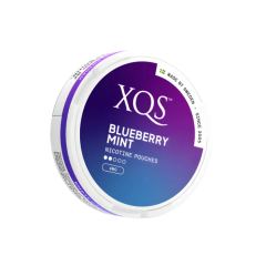 XQS Blueberry Mint Light