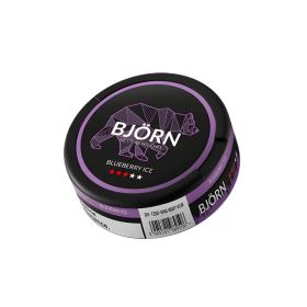 Bjorn logo