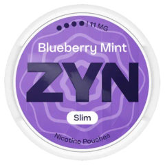 Zyn Blueberry Mint 4