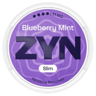 Zyn Blueberry Mint 4