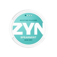 Zyn Spearmint Mini Dry