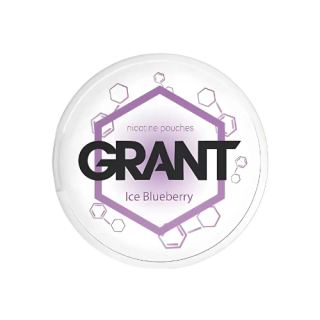 Garant Ice Blueberry